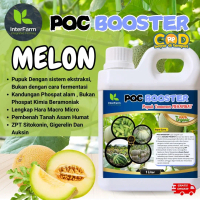 Pupuk Pelebat Buah Melon , Pupuk Untuk Tanaman Melon, Pupuk Cair Organik Untuk Melon INTERFARM Jamur