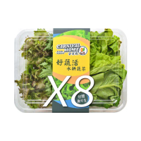 【合家歡 水耕蔬菜】綜合生菜150g x 8盒裝(宅配 水耕 萵苣 生菜)