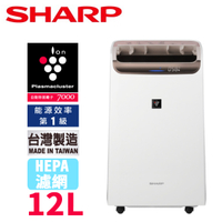SHARP 夏普 12L 1級 自動除菌離子2合1空氣清淨除濕機 DW-P12FT-W