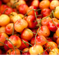 【RealShop】美國空運9.5R白櫻桃 4kg±10%*1箱(原箱出貨 產地直送4天內抵台 真食材本舖)