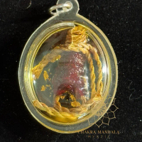 Thai Amulet Sacred Energy Hunpayon