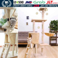 Cat Condo Tree Garukan Kucing