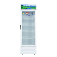 Sanaky Inverter 480 Lít VH-5089K3