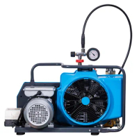 TUXING 4500PSI 300Bar 100L/min Diving Compressor High Pressure PCP Air Compressor Auto Stop Scuba Diving Breathing Fire Fighting