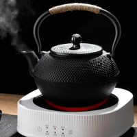 Iron Tea Pot with Stainless Steel Infuser Cast Japanese Iron Teapot Oolong Tea