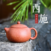 Dragon Blood Sand Xishi Purple Clay Teapot Yixing Teapot 龙血砂西施紫砂壶宜兴茶壶