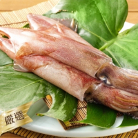 【安永鮮物】中秋烤肉海鮮組(白蝦、鮮蚵、鮭魚頭、透抽、薄鹽鯖魚)
