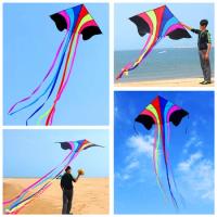 free shipping high quality flying rainbow kite line nylon fabric ripstop kids kites factory chinese kite wholesale bird eagle