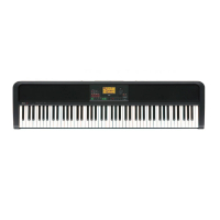 【KORG】XE20 多功能數位電鋼琴 伴奏琴(公司貨保證)