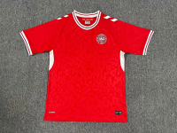 Jersi Gandum Denmark Piala Eropah 2024 Denmark Jersey Negara Pakaian Bola Sepak Tuan Rumah dan Tanda