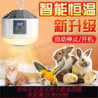 {臺灣公司貨 可打統編}寵物暖風機靜音保溫燈智能恒溫加熱暖風貓狗鸚鵡蜥蜴寵物取暖神器