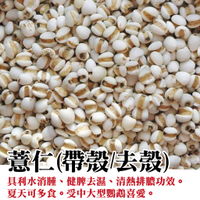 【蘋果樹工坊】薏仁(去殼/有殼)。鸚鵡、倉鼠點心。獎勵點心。鸚鵡飼料