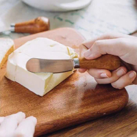 1pc Cute Butter Cutter Toast Spreader Multipurpose Knife for Cream Cheese Jam Food Preparation Trending Stylish Bread Spreader