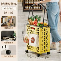 餸籃子多功能手推車小拖車摺疊家用購物車取快遞小推車買餸小拉車