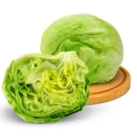 Head Lettuce / Iceberg Lettuce / Selada Bokor 1 buah
