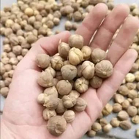 kapulaga kering 1kg rempah rempah