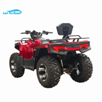 Fast 4 Wheeler Quad ATV Buggy 300cc for Adult 2x4 with CE