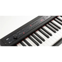 【KORG】D1 舞台 電鋼琴(附琴袋、金屬踏板、耳機)