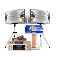 Karaoke Machine System KTV Professional Karaoke Player High-power Amplifiers and white Speakers Karaoke System Set