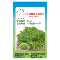 【蔬菜工坊】A68.綠麒麟萵苣種子0.9克(約780顆)