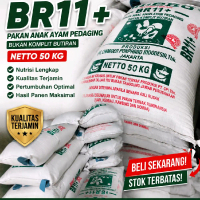 Pakan Ayam Pedaging HI PRO BR11+ 50kg Original
