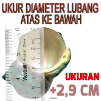 Ns004 Shell/Cangkang Kelomang Pompongan Kepompong Murah Meriah Terlaris