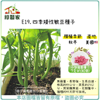 【綠藝家】E19.四季矮性敏豆種子7克(約30顆)