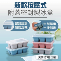 DaoDi 按壓式密封製冰盒4入組(六格製冰盒/附蓋製冰模具 冰塊盒副食品盒)