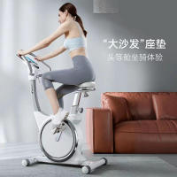Indoor Spin Bike Gym Exercise Bike Bicycle Spinning Household Mute Weight Loss Equipment Exercise Durable 22 dian