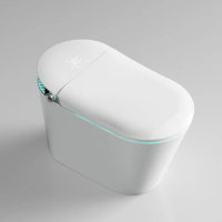 USA FREE SHIPPING Modern Home Bathroom Fully Automatic Auto Flush Intelligent Toilet Bowl Electronic Bidet Smart Toilet
