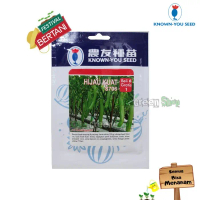 5gr KYS - Benih Bibit Terong Hijau Kuat F1 Known You Seed
