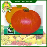 Benih Buah Buahan Semangka Strawberi Melon Labu Benih Bibit Murah Berkualitas Labu Merah