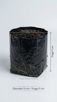 Polybag Bibit Anggur Model Tinggi 1kg Pendek