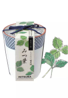 Seishin 日本進口‧和式茶杯草藥配料盆栽 - 三葉草