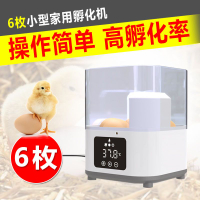 孵化器 小型家用全自動孵化機智能孵蛋機迷你孵蛋器 小雞蛋孵化箱 交換禮物全館免運
