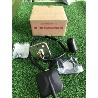 RR150 ZX150 PELAMPUNG TANK RR150 ORIGINAL KAWASAKI JAPAN Motorcycle