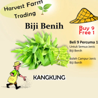 Biji Benih Kangkung 150 Biji  Vegetable Seed Water Spinach Family Seeds Plant Seed