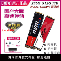 【台灣公司 超低價】七彩虹m2固態硬盤cn600 256g 512g 1t  nvme 臺式機筆記本高速ssd