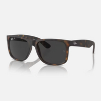 Ray Ban｜RB4165F-865/87 方形膠框偏光太陽眼鏡