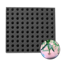 100 PCS Seedling Sponge Soilless Dirt Resistant Medium Seedling Seed Square Growth Hydroponics Cube Foam Sponge Pots trays