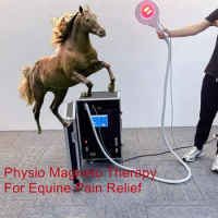 The Benefits of Magnetic Therapy EMTT Magneto Physiotherapy Machine PEMF for Horses Reduces Muscle Tension And Soreness