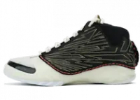 AIR JORDAN 23 TITAN