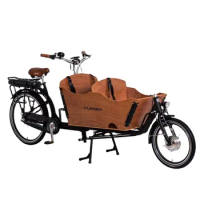 high quality 2 wheel family electric tricycle electric cargo bike adult bicycle