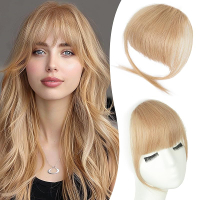 Bangs Hair Clip in Bangs Fringe with Temples Hairpieces for Women Human Hair Bangs Extension for Dai