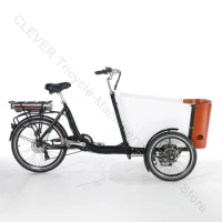 Electric Front Loading Tricycle for Kids, Adults Cargo Bike, 3 Wheel, Electric Tricycles,Low Price, Hot Sale