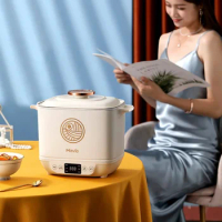 Electric Cooking Pot Dormitory Student Pot Small Multi-function Cooking Pot Split Type Instant Noodles Chafing Dish