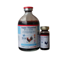 Hũ nuôi B12 5500 -100ml sung hừng nhanh, tăng nước máu, bóng lông, khắc tinh của gà lỏn lẻn cự yếu