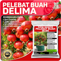 Pupuk Pelebat Delima Organik - Nutrisi Booster Buah Buahan Pohon Delima