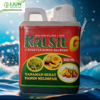 kalsil G pupuk kalium silika plus zpt boster bunga dan buah Tanaman