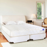 【德泰】奢華900 彈簧床墊-雙人5尺+Onigiri 人體工學記憶枕-中對枕(送保潔墊)